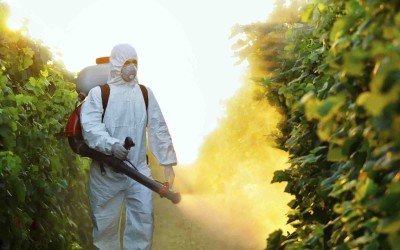 Pesticides a “major cause” of infertility & male erectile dysfunction